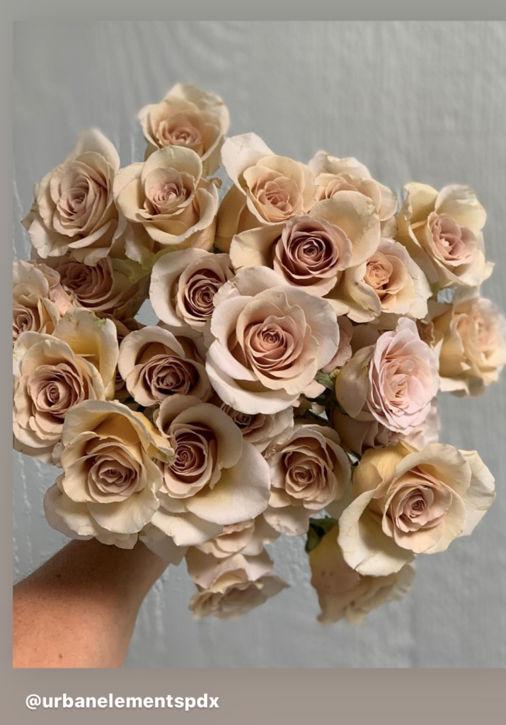 Quicksand Rose - Cream Champagne Roses For Sale