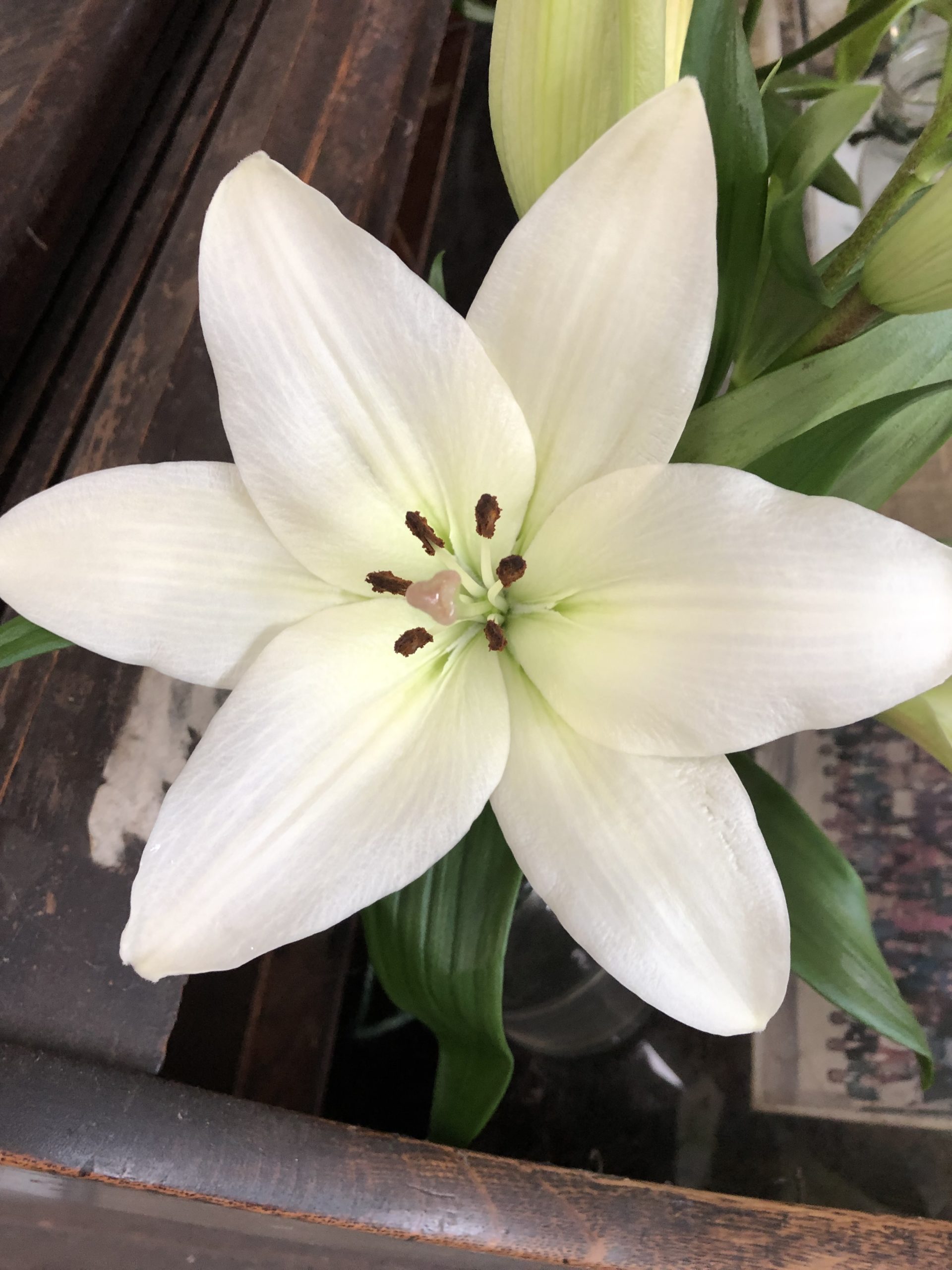 Lilies Asiatic White Peterkort Roses
